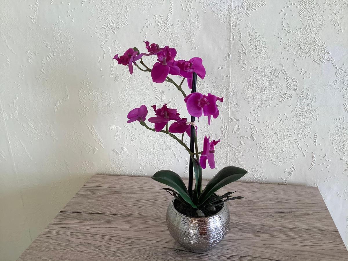 Appartement Schuster Elend